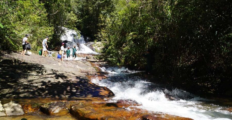 Trekking to Hidden Waterfall & Sturgeon Farm for dog-lovers - Walking through the forest with the farm dogs