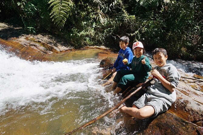 Trekking Tour to Hidden Waterfall & Sturgeon Farm for dog-lovers - Why the seven dogs change the mood