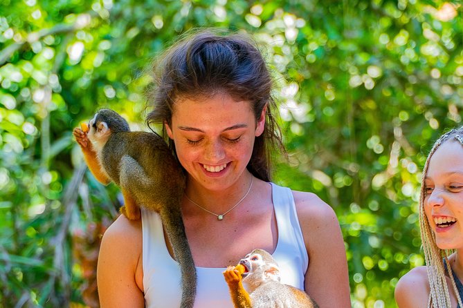 Triple fun! Monkeyland + Damajagua Waterfalls + Buggies from Puerto Plata - Starting at 7:00 am in an open-air safari truck