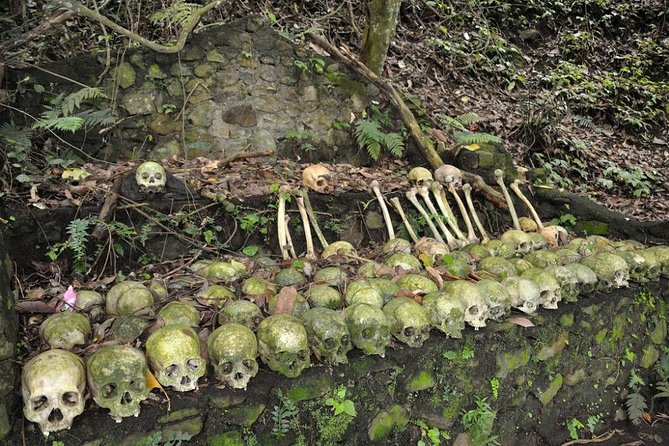 Trunyan Cemetery, Hot Spring, Penglipuran Village, and Waterfall Tour - Why Trunyan makes this Bali tour different