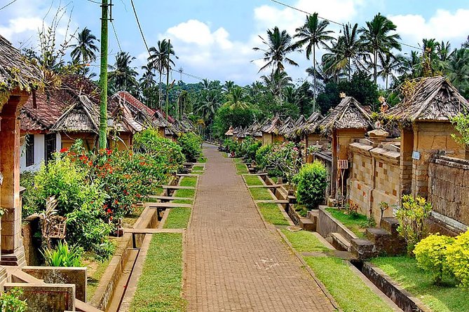 Trunyan Cemetery, Hot Spring, Penglipuran Village, and Waterfall Tour - The guide can shape the whole day