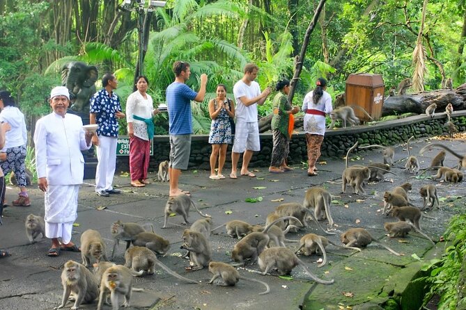 Ubud Day Tour: Sacred Monkey Forest, Tegenungan Waterfall, Rice Terrace - Tegalalang Rice Terrace: the view comes with walking