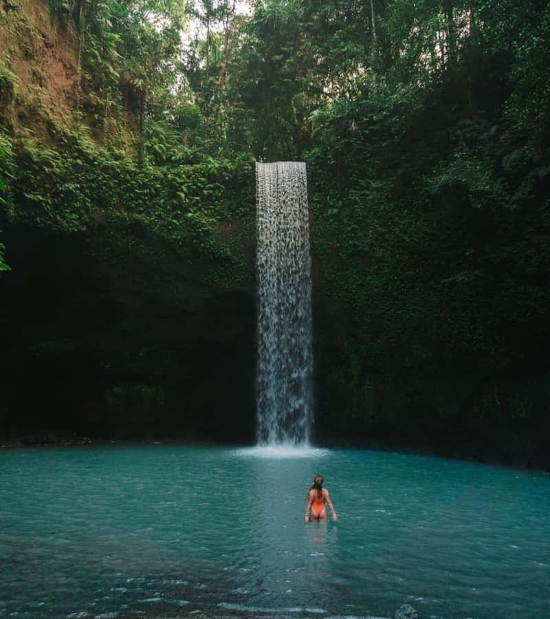 Ubud: Full-Day Rice Terrace, Monkey Forest & Waterfall - Tegalalang Rice Terrace: Bali’s Classic Green View