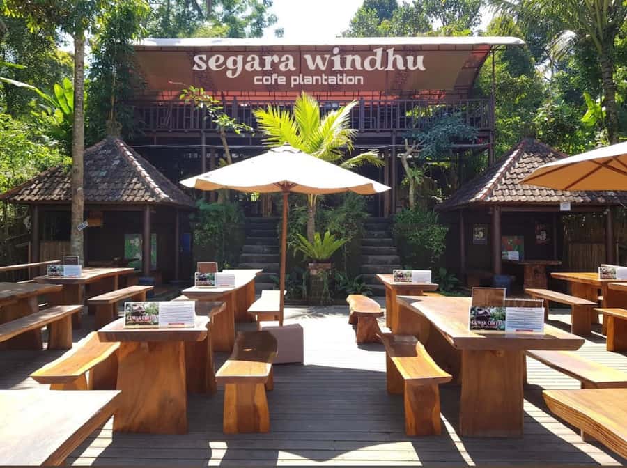 Ubud: Full-Day Rice Terrace, Monkey Forest & Waterfall - The Private Car Is the Main Advantage