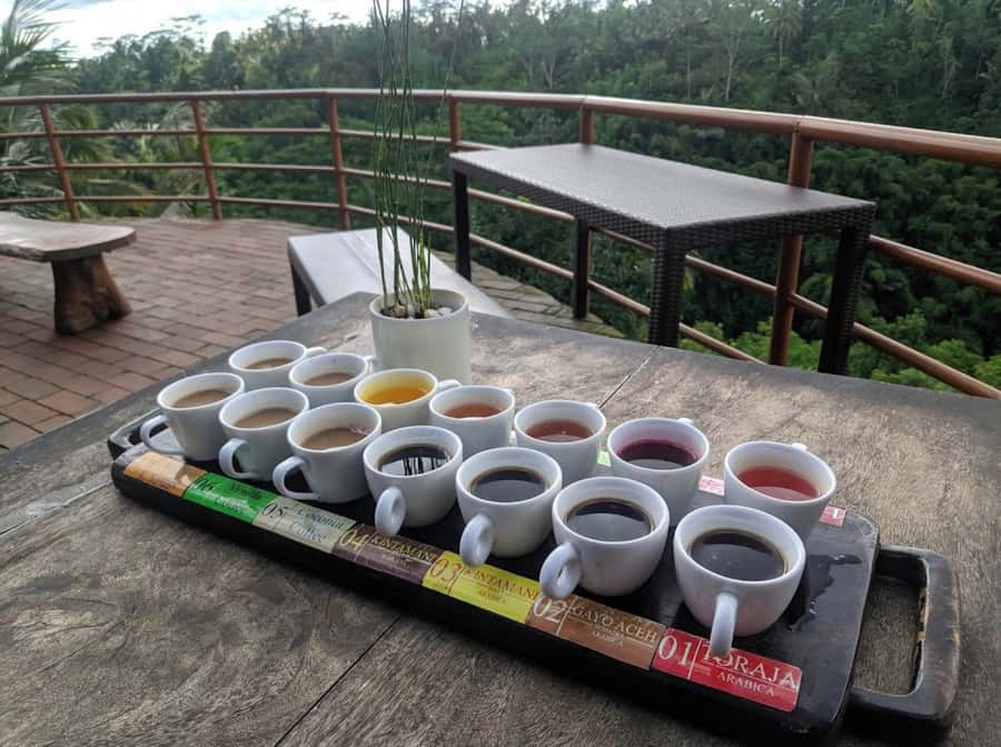 Ubud: Full-Day Rice Terrace, Monkey Forest & Waterfall - Who Will Get the Most From This Day