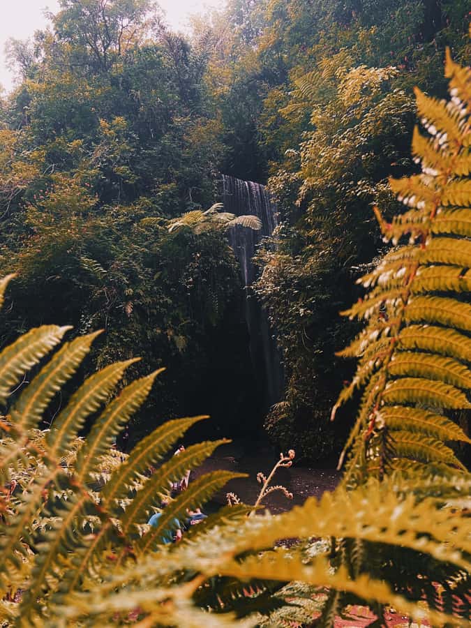 Ubud: Gorilla Face Quad Bike, Jungle Swing, Waterfall & Meal - Lunch, showers, and the practical finish