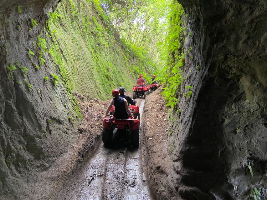 Ubud: Gorilla Face Quad Bike, Jungle Swing, Waterfall & Meal - Who will enjoy this day most
