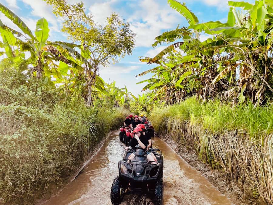 Ubud: Gorilla Face Quad Bike, Jungle Swing, Waterfall & Meal - Satria Agrowisata, Bali coffee, and the giant swing