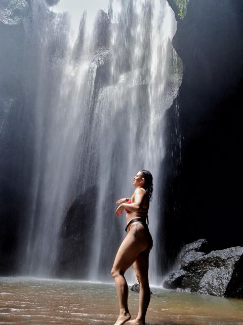 Ubud: Hidden Gems and Waterfalls Private Tour - Is $43 per person good value?