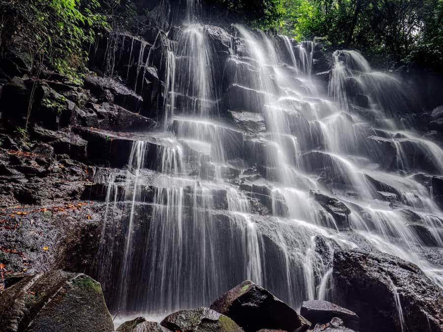 Ubud: Hidden Gems and Waterfalls Private Tour - The Balinese plantation tasting