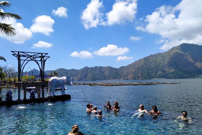 Ubud Hot Springs and Waterfall Private Guided Tour - What the private car changes