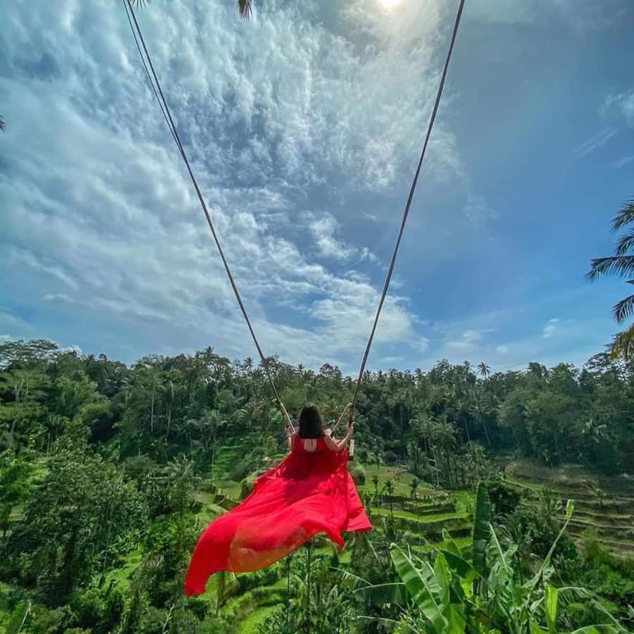 Ubud Monkey Forest, Temple, Rice Terrace and Waterfall Tour - Why this Ubud day works well