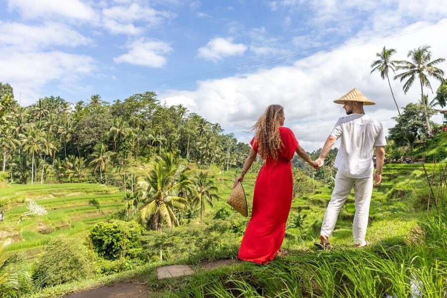 Ubud Monkey Forest, Temple, Rice Terrace and Waterfall Tour - The private vehicle and guide make the difference