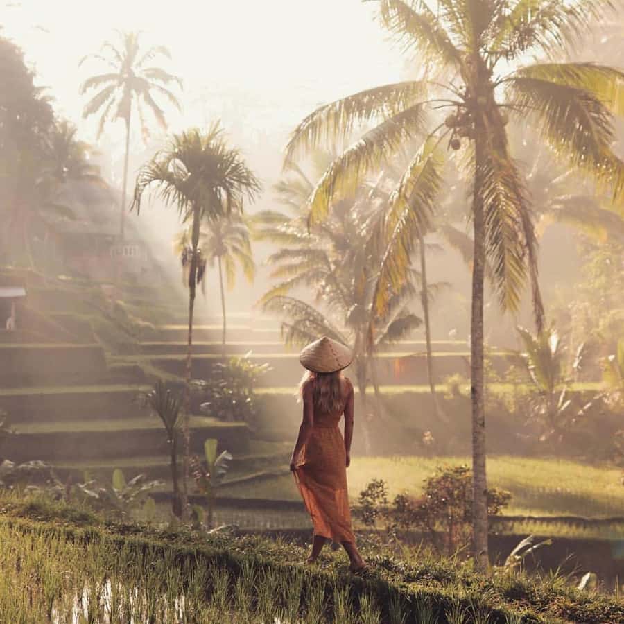 Ubud Monkey Forest, Temple, Rice Terrace and Waterfall Tour - Monkey Forest: one hour with Bali’s macaques