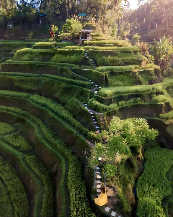 Ubud: Private Scenic Waterfalls and Rice Terraces Tour - Timing, weather, and physical effort