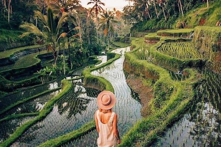 Ubud: Rice Terrace, Waterfall, & Elephant Cave - Goa Gajah, the Elephant Cave, and its strange entrance