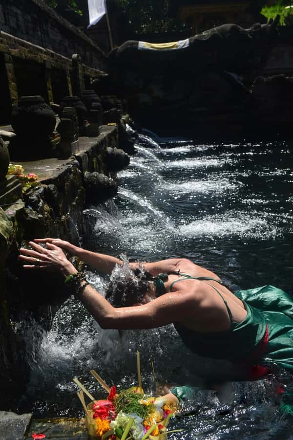 Ubud: Rice Terraces, Water Temple, & Waterfalls Private Tour - At a glance