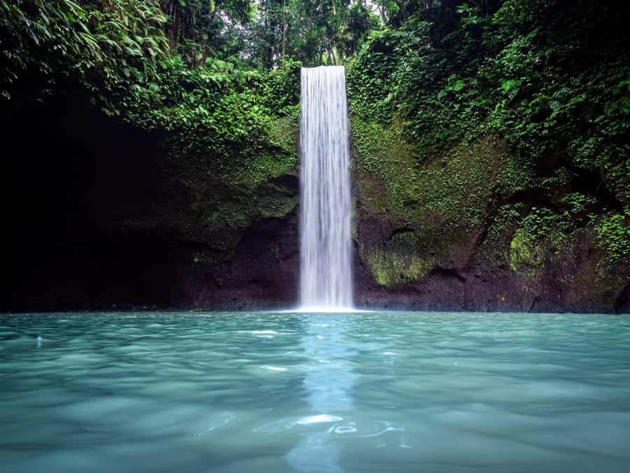 Ubud: Rice Terraces, Water Temple, & Waterfalls Private Tour - Two waterfalls before the crowds build