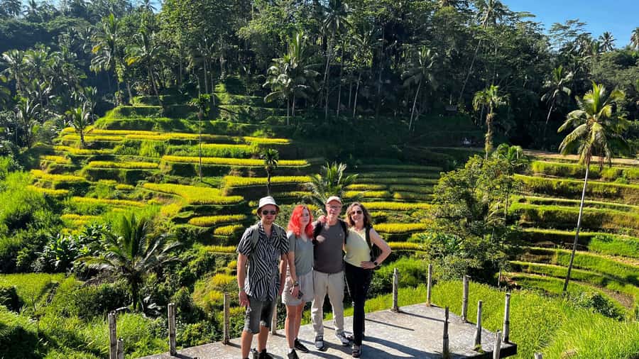 Ubud: Rice Terraces, Water Temple, & Waterfalls Private Tour - Is $55 per person good value?