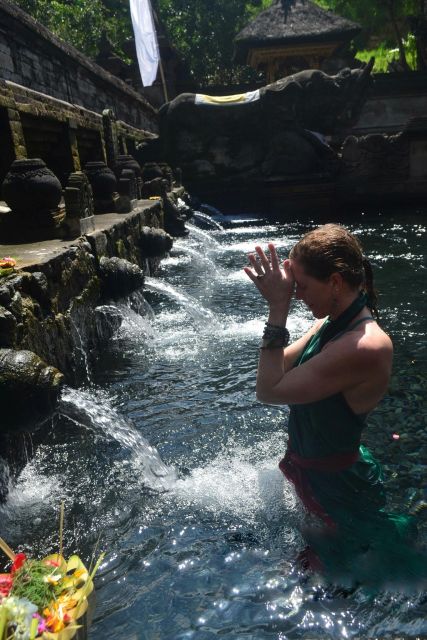 Ubud: Rice Terraces, Water Temple, & Waterfalls Private Tour - Who should book this private Bali day tour?