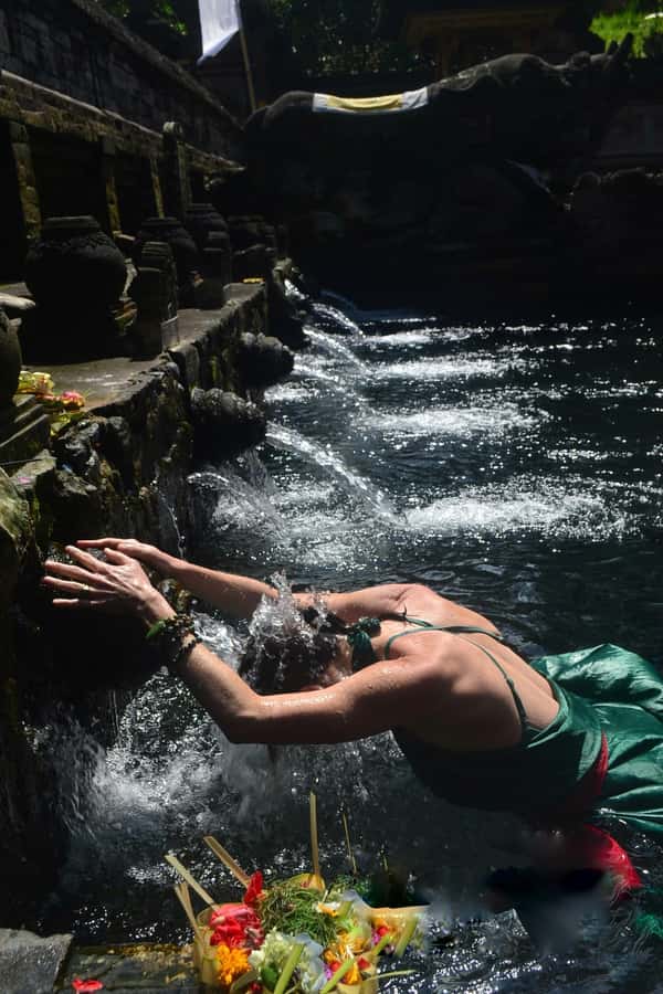 Ubud: Rice Terraces, Water Temple, & Waterfalls Private Tour - Should you book it?