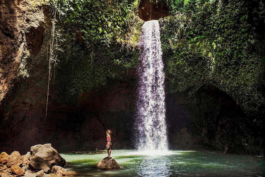 Ubud: Spectacular Waterfalls Tour - Key points to know before you book