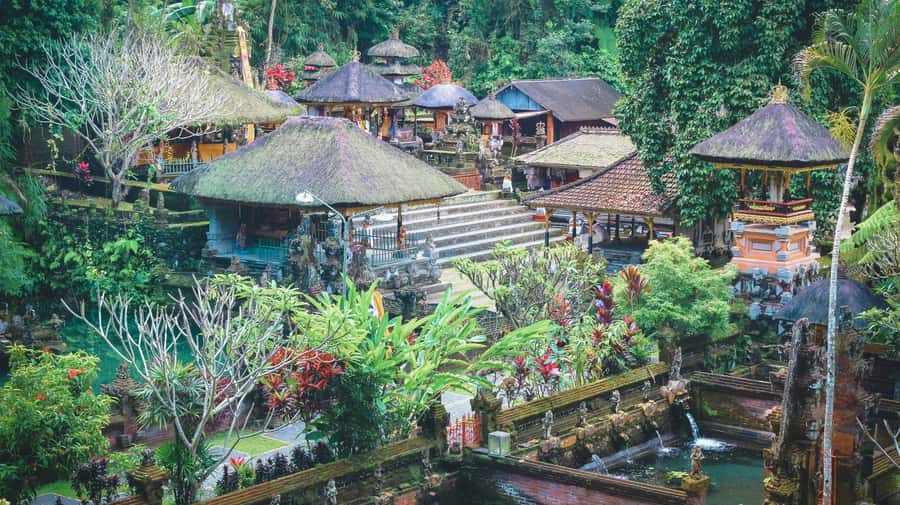 Ubud: Spectacular Waterfalls Tour - What to bring for a wet, active day