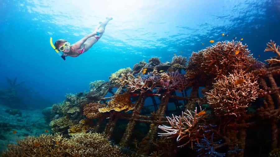 Ubud: Tegenungan Waterfall, Snorkeling, and Canyoning Tour - Tegenungan Waterfall: attractive, accessible, and busy