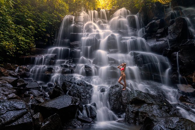 Ubud Top Attractions: Waterfalls, Temples and Rice Terraces - What the $39 price really buys you