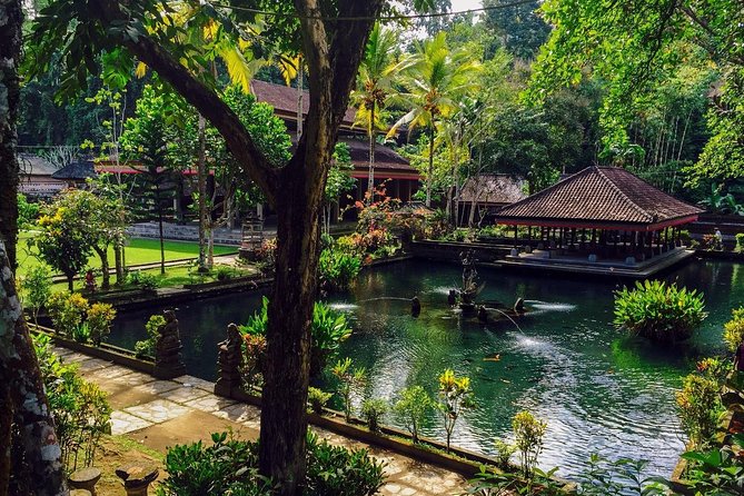 Ubud Top Attractions: Waterfalls, Temples and Rice Terraces - Tegalalang shows working rice country