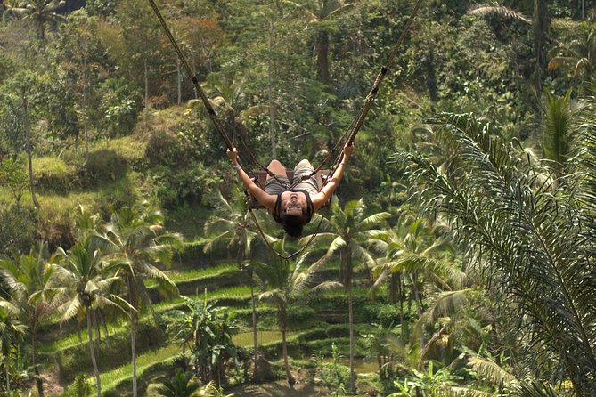Ubud Top Attractions: Waterfalls, Temples and Rice Terraces - Lunch at D Alas Warung breaks up the day