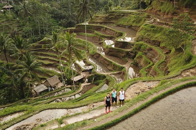 Ubud Top Attractions: Waterfalls, Temples and Rice Terraces - The driver-guide can shape the whole day
