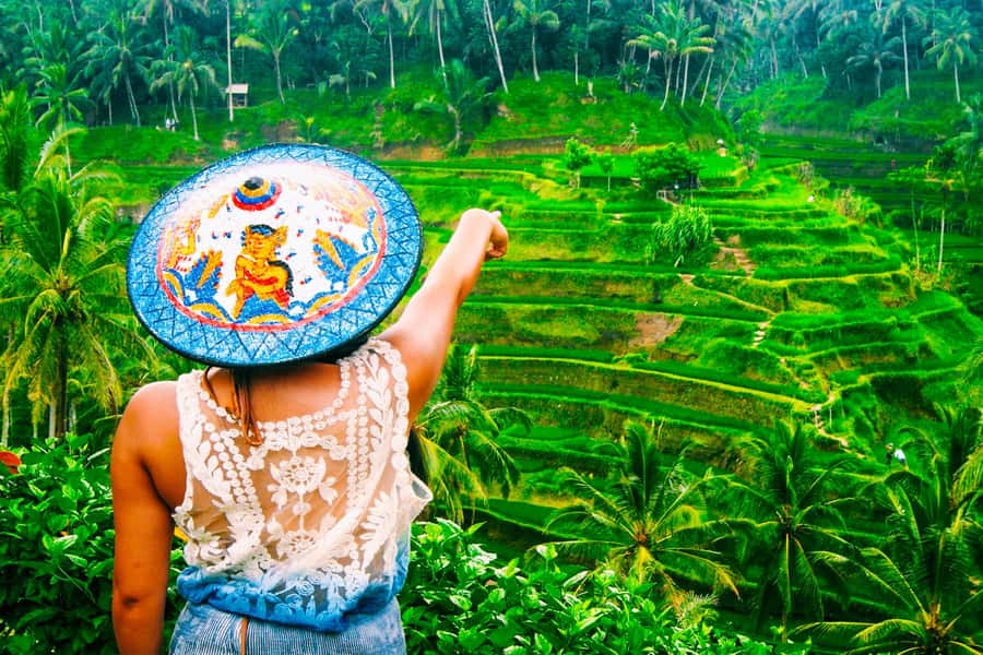 Ubud: Waterfall, Rice Terraces & Monkey Forest Private Tour - The essential points before you book