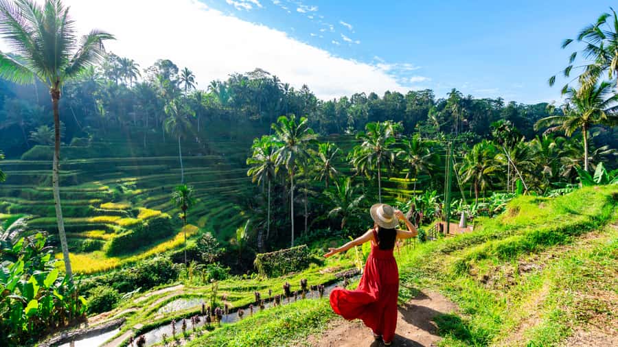 Ubud: Waterfall, Rice Terraces & Monkey Forest Private Tour - The coffee plantation adds a tasting stop