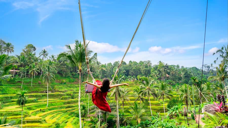 Ubud: Waterfall, Rice Terraces & Monkey Forest Private Tour - Tegenungan Waterfall starts the sightseeing