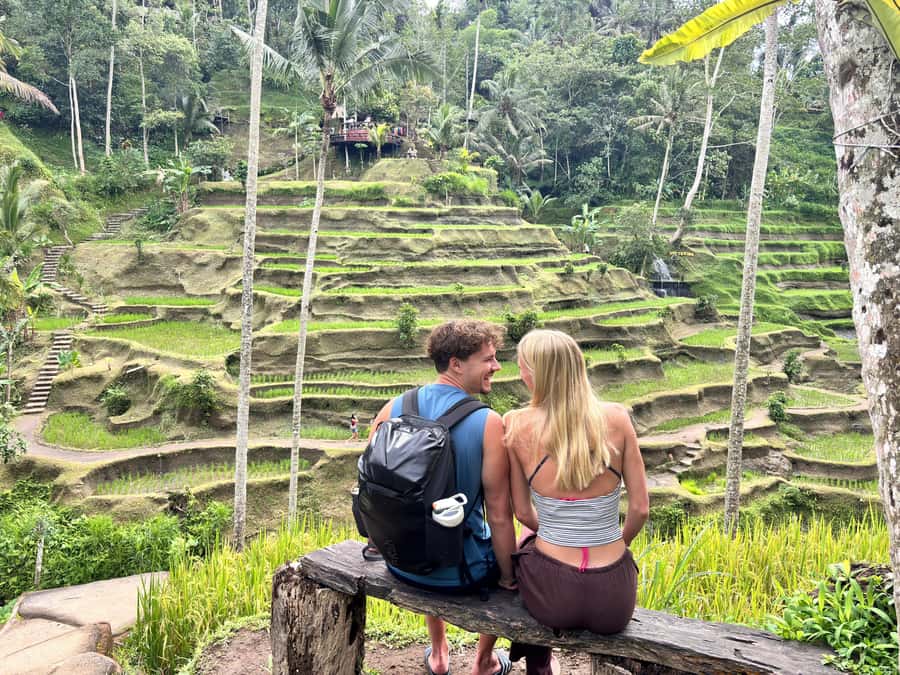 Ubud: Waterfalls, Water Temple & Rice Terraces Private Tour - What this Ubud day is really trying to do