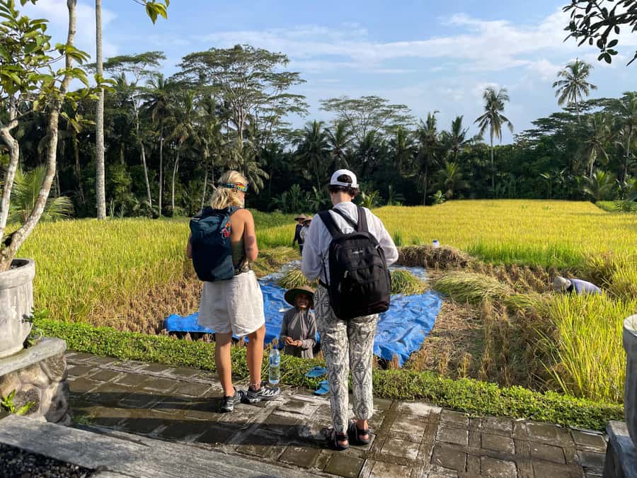 Ubud: Waterfalls, Water Temple & Rice Terraces Private Tour - Kanto Lampo for rocks, cascades, and photographs