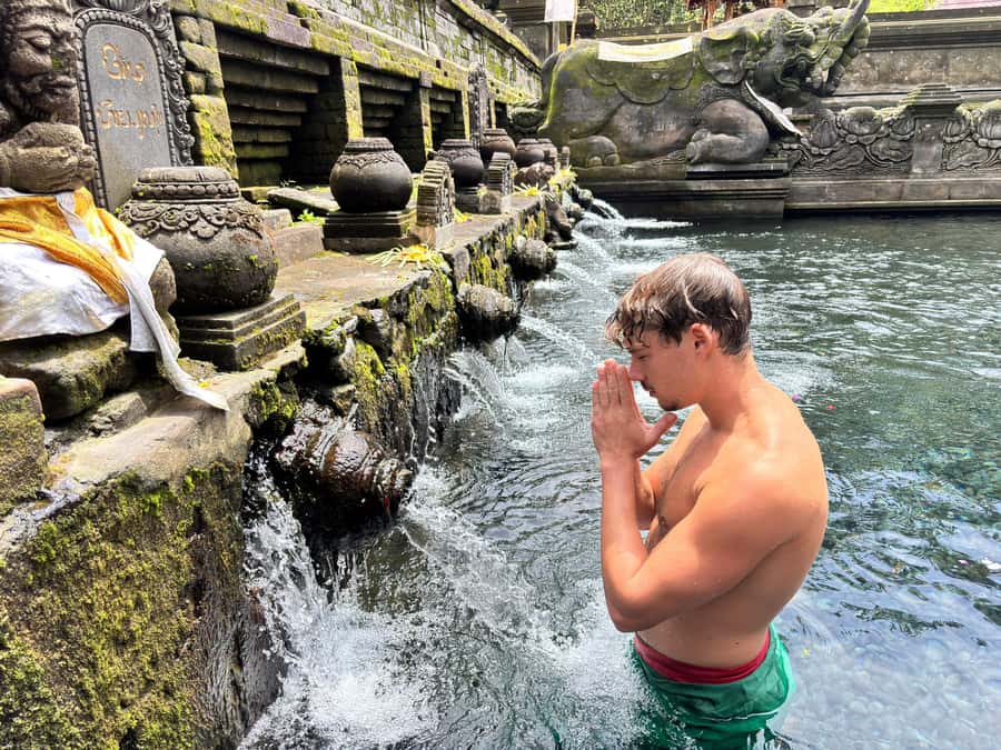 Ubud: Waterfalls, Water Temple & Rice Terraces Private Tour - What the $29 price means in practice