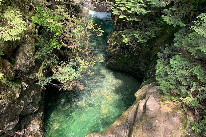 Vancouver Rainforest Hike with Waterfalls, Suspension Bridge, Old Growth Forest - Waterfalls, creeks, and natural swimming pools