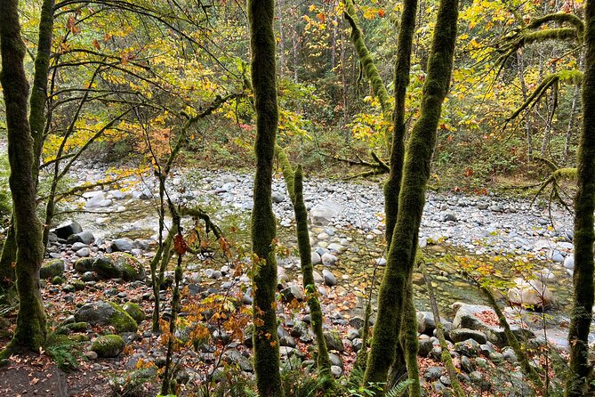 Vancouver Rainforest Hike with Waterfalls, Suspension Bridge, Old Growth Forest - How hard is the hike?