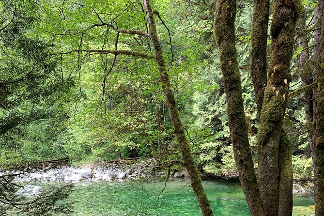 Vancouver Rainforest Hike with Waterfalls, Suspension Bridge, Old Growth Forest - Adrian’s guiding style and the small group