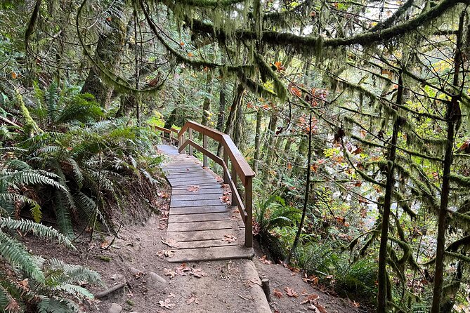 Vancouver Rainforest Hike with Waterfalls, Suspension Bridge, Old Growth Forest - Is the $58.56 price good value?