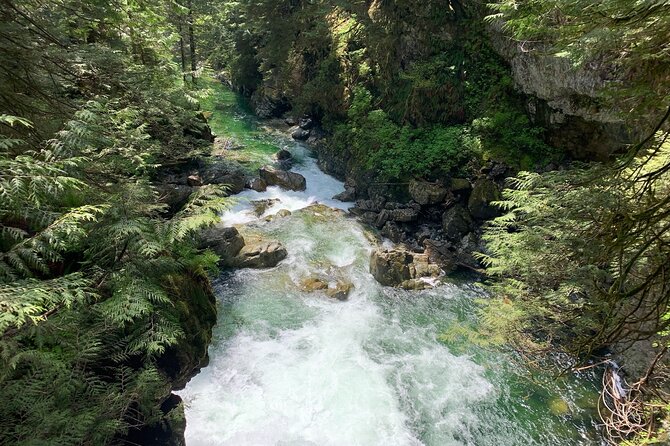Vancouver Rainforest Hike with Waterfalls, Suspension Bridge, Old Growth Forest - Crossing the Lynn Canyon Suspension Bridge