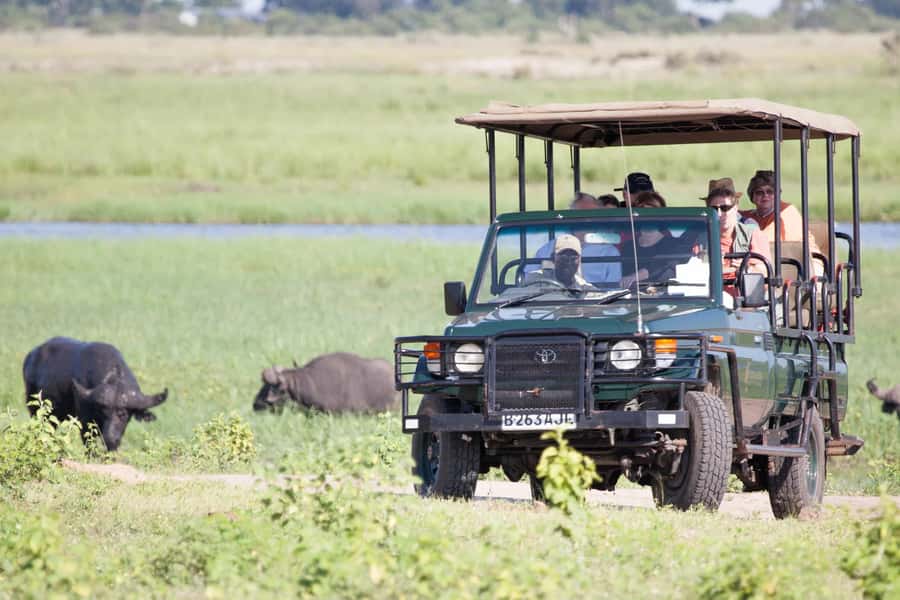 Victoria Falls: Chobe National Park Day Trip with Lunch - Key points to know before you go