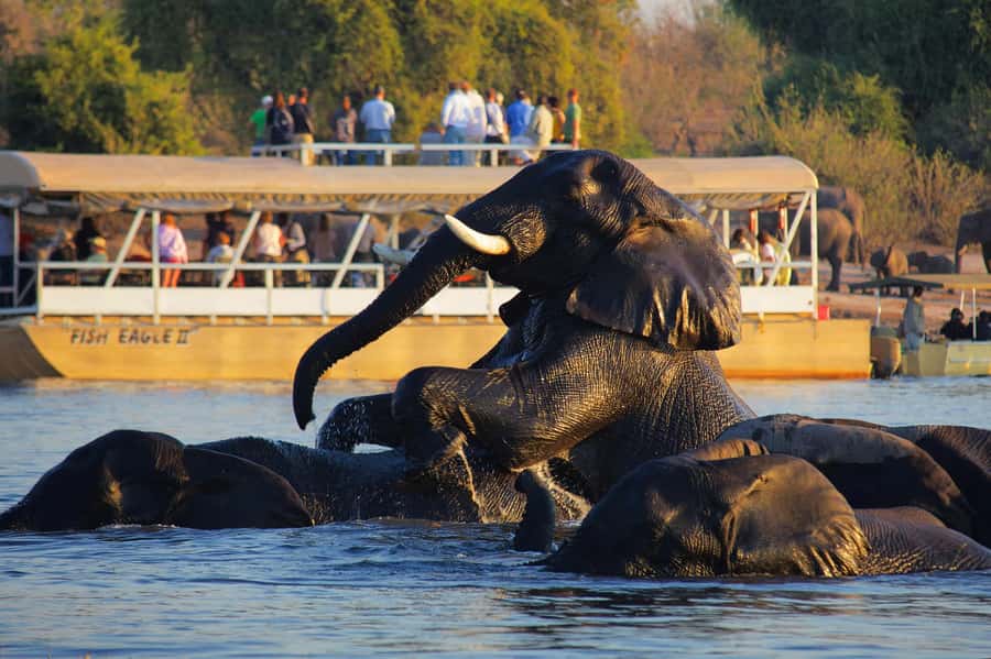 Victoria Falls: Chobe National Park Day Trip with Lunch - The morning pickup and Kazungula crossing
