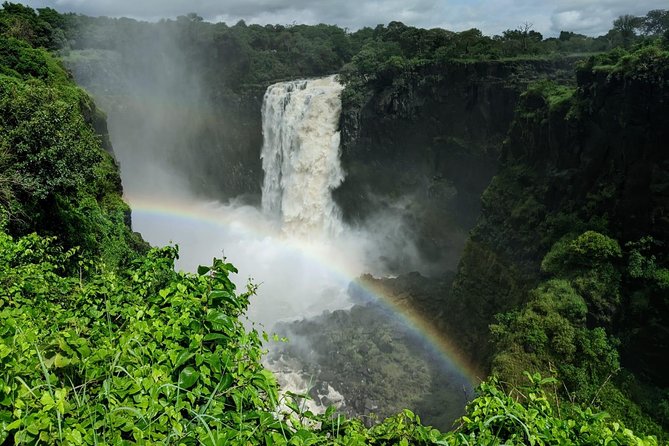 Victoria Falls Private Guided Sunrise Tour - What the guides add to the morning