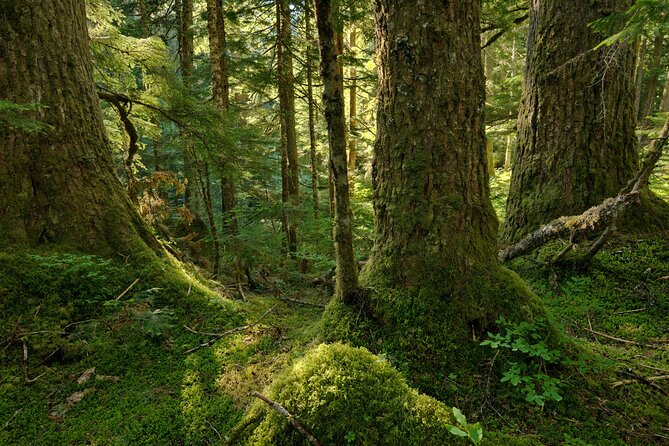 Visit Snoqualmie and Hike to Twin Falls (Transportation included) - How challenging is the Twin Falls hike?