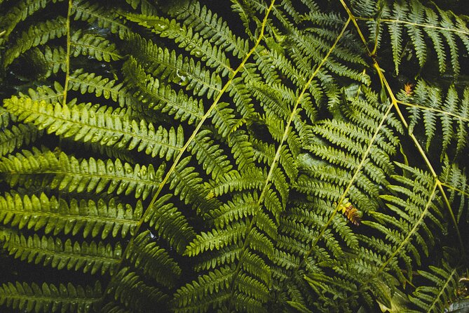 Visit Snoqualmie and Hike to Twin Falls (Transportation included) - Timing, weather, and small practical details