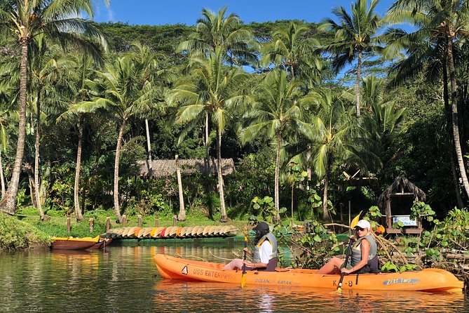 Wailua River & Waterfalls Kayak Tour: Expert-Guided Adventure - Lunch is simple, useful, and welcome