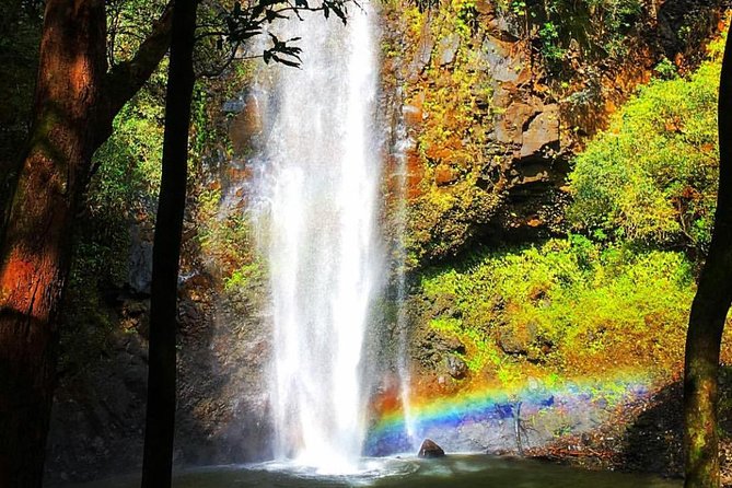 Wailua River & Waterfalls Kayak Tour: Expert-Guided Adventure - Go early for a quieter river and trail